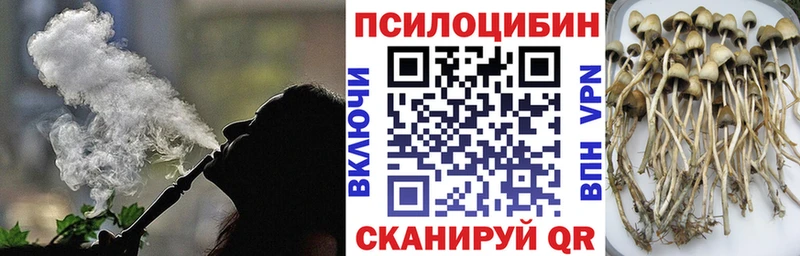 Псилоцибиновые грибы Psilocybe  МЕГА маркетплейс  Южно-Сухокумск 